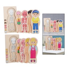 Puzzle in legno del corpo